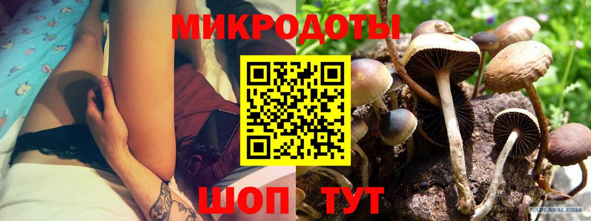 Псилоцибиновые грибы Psilocybe Нягань